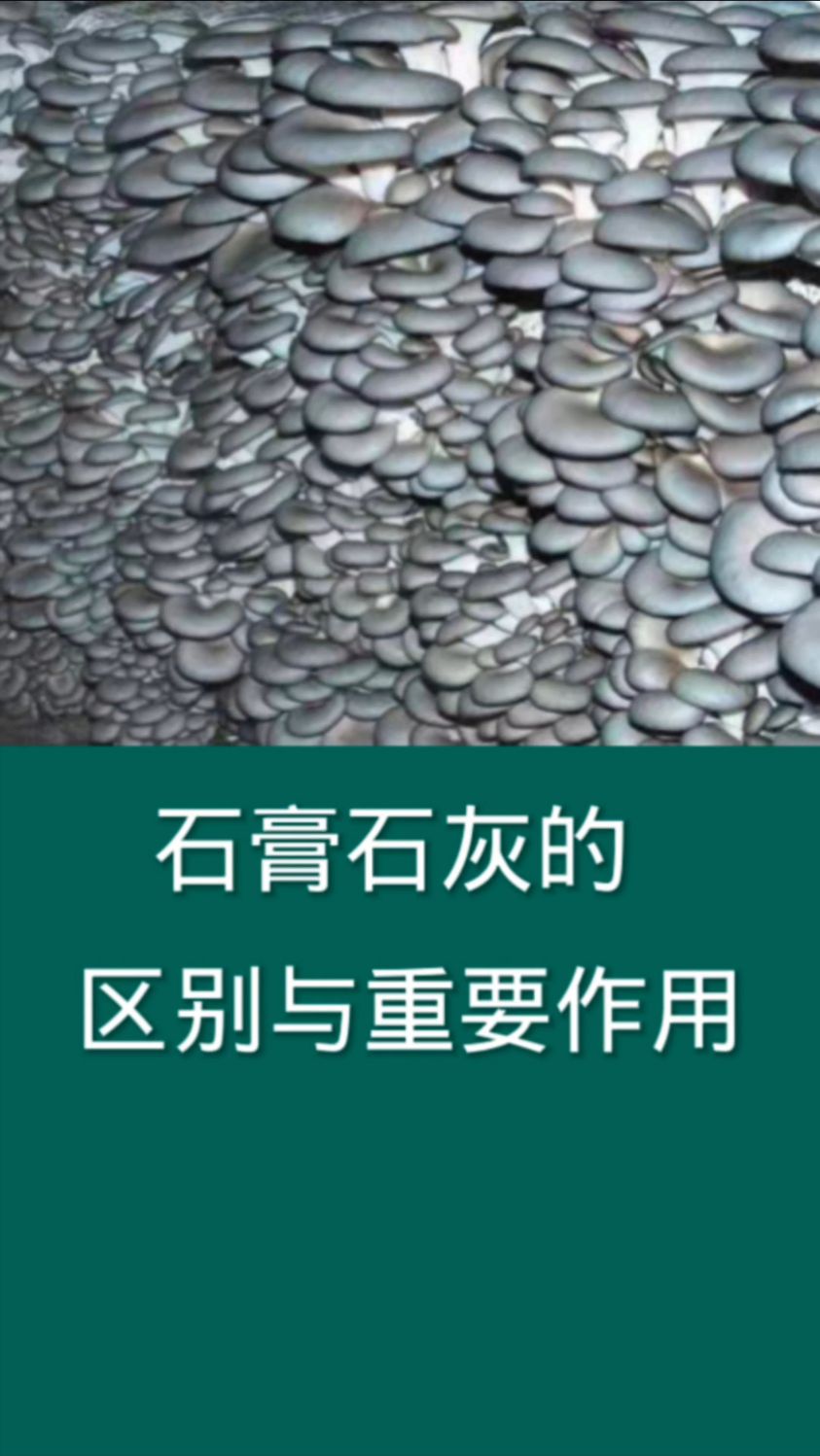 石膏石灰的区别与重要作用